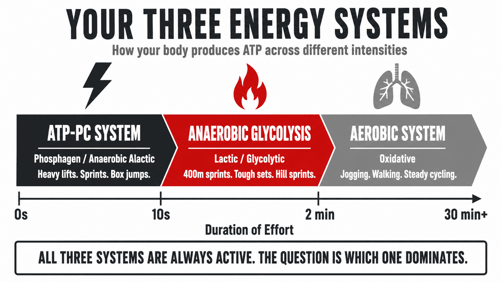 Timeline infographic titled Your Three Energy Systems showing how ATP-PC dominates at 0 to 10 seconds (heavy lifts, sprints, box jumps), anaerobic glycolysis from 10 seconds to 2 minutes (400m sprints, tough sets, hill sprints), and the aerobic oxidative system beyond 2 minutes (jogging, walking, steady cycling), captioned All Three Systems Are Always Active. The Question Is Which One Dominates.