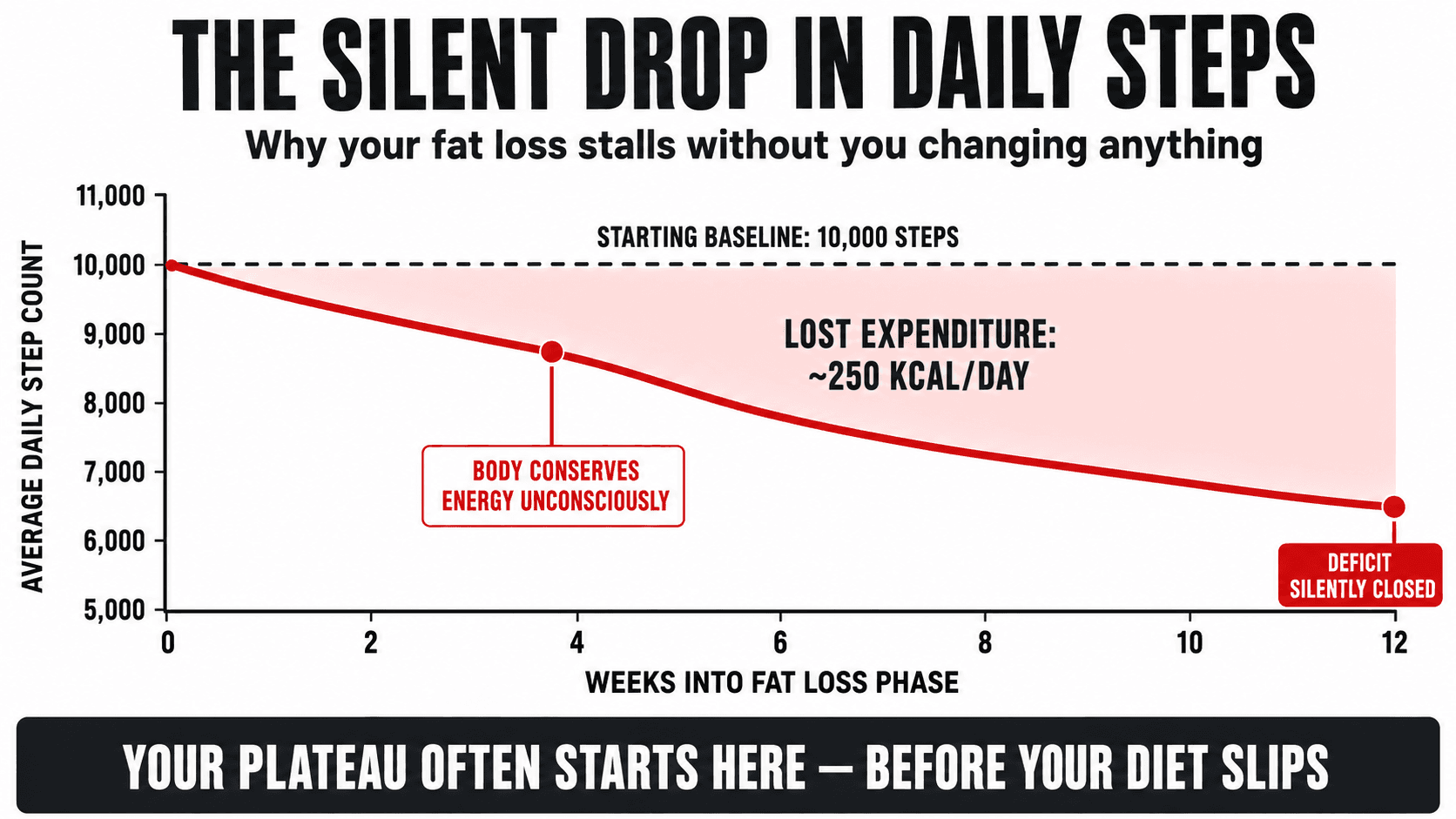 Graph showing the silent decline in daily step count over weeks during a fat loss phase