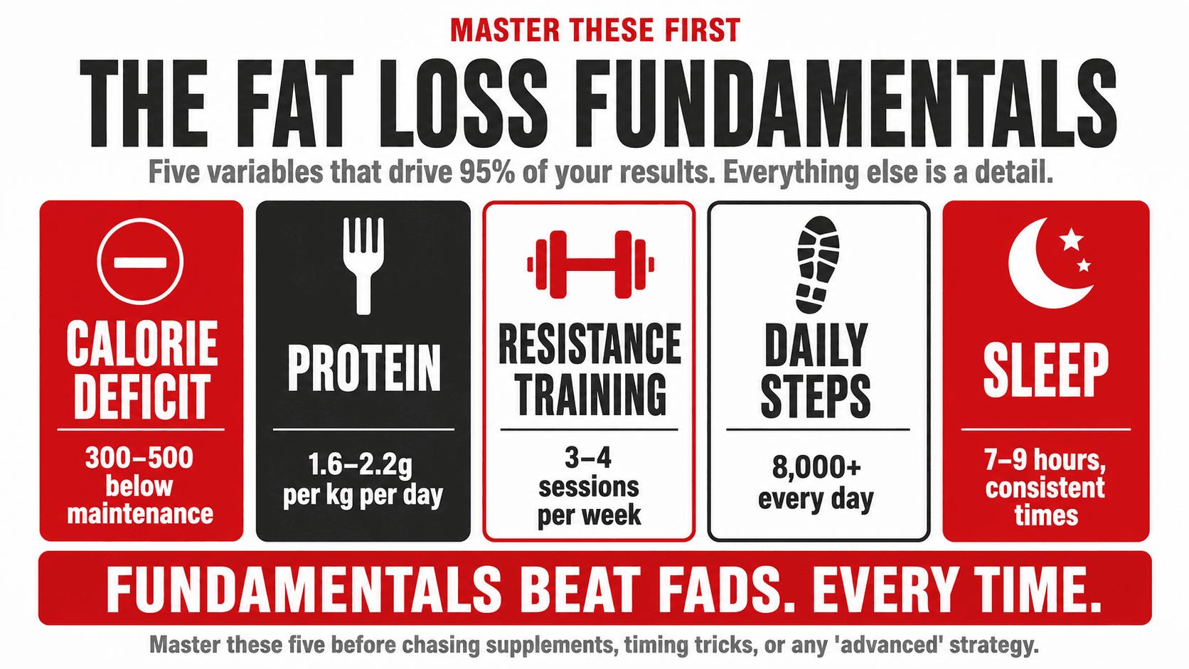 The fundamentals of evidence-based fat loss — protein, resistance training, daily steps, and a sustainable calorie deficit