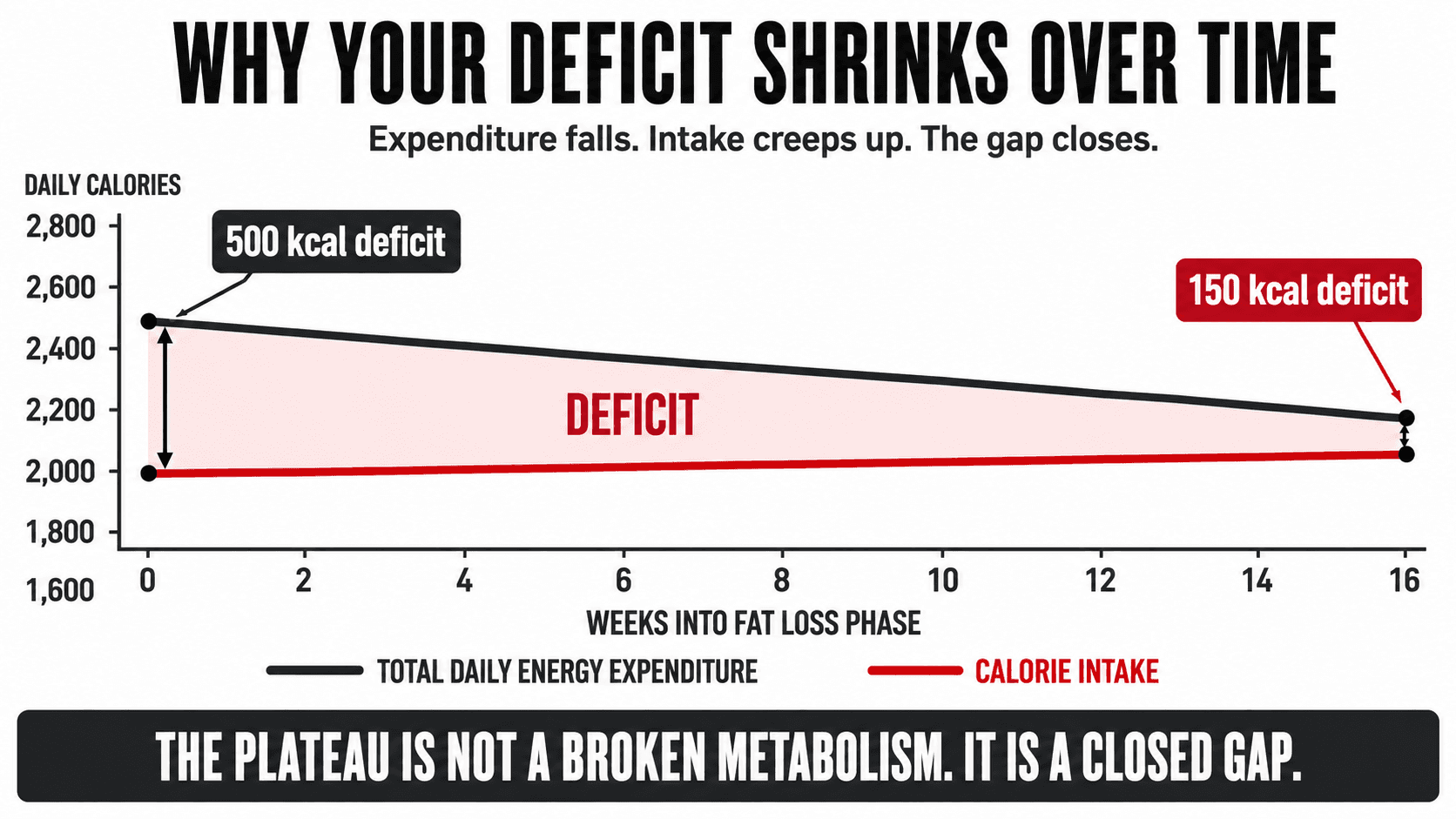 Graph showing the shrinking calorie deficit over time as metabolic adaptation sets in