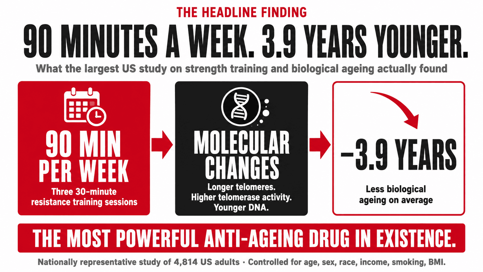 Infographic titled 'The Headline Finding — 90 Minutes a Week. 3.9 Years Younger.' summarising the largest US study on strength training and biological ageing in three panels: 90 minutes per week of resistance training (three 30-minute sessions), molecular changes (longer telomeres, higher telomerase activity, younger DNA), and minus 3.9 years of biological ageing on average, closing 'The most powerful anti-ageing drug in existence — nationally representative study of 4,814 US adults, controlled for age, sex, race, income, smoking, BMI'