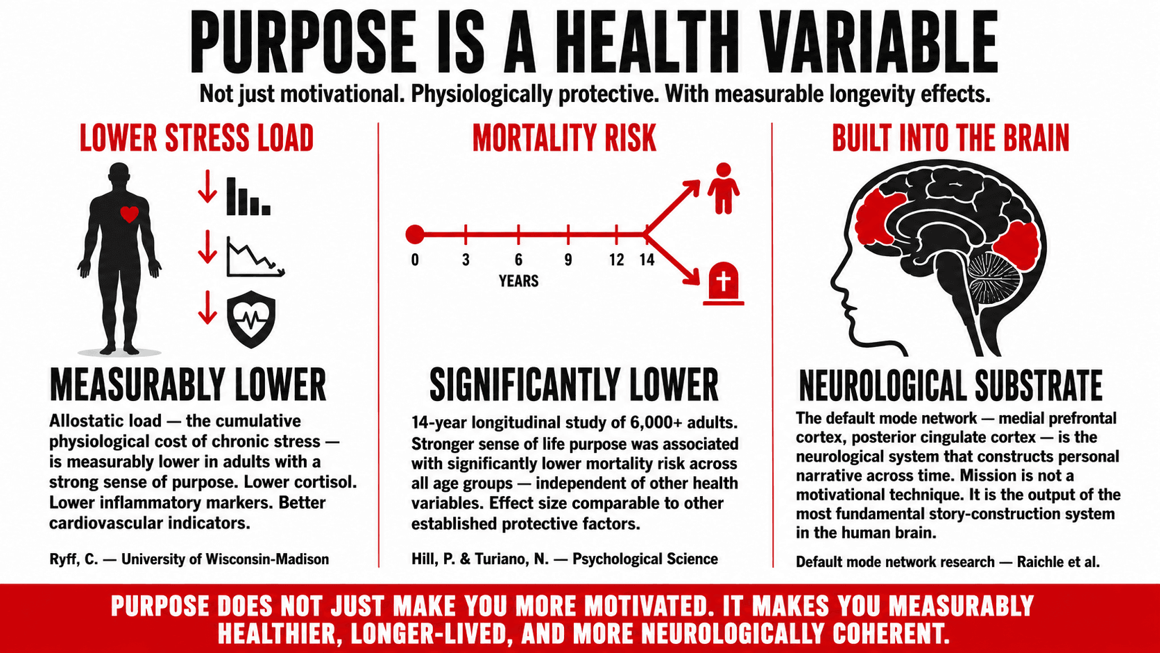 Brain diagram highlighting the default mode network — the neurological substrate of mission-level thinking, purpose, and the self-narrative that connects past, present, and future