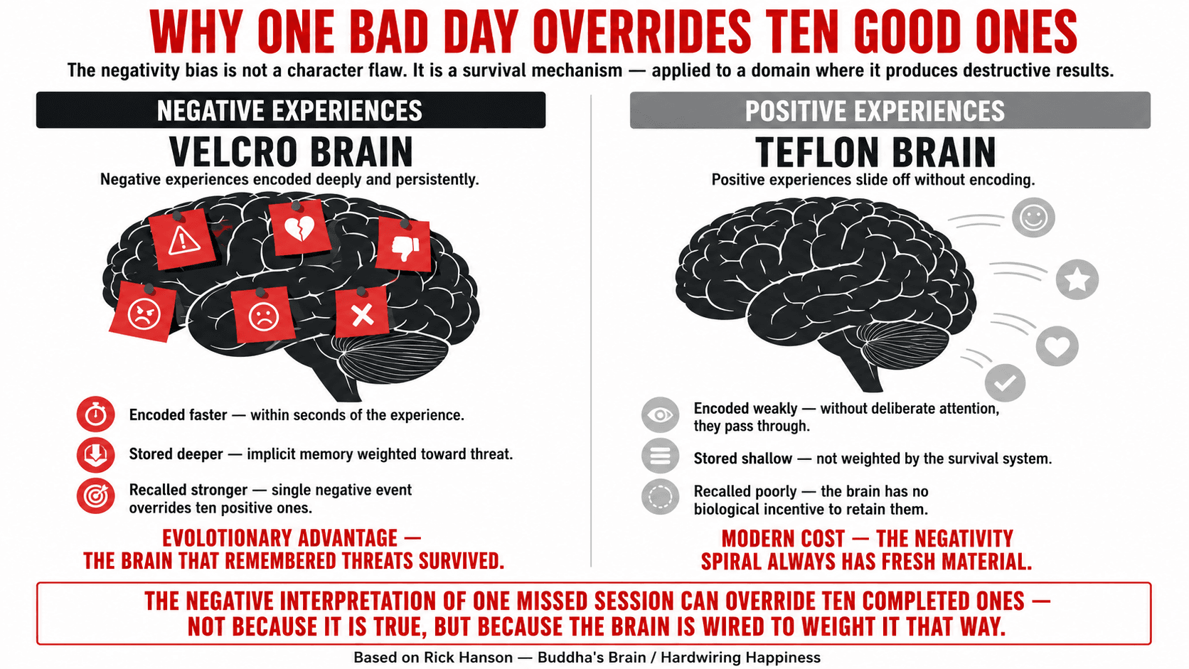 A brain diagram illustrating the negativity bias — showing how negative experiences encode more strongly than positive ones in long-term memory