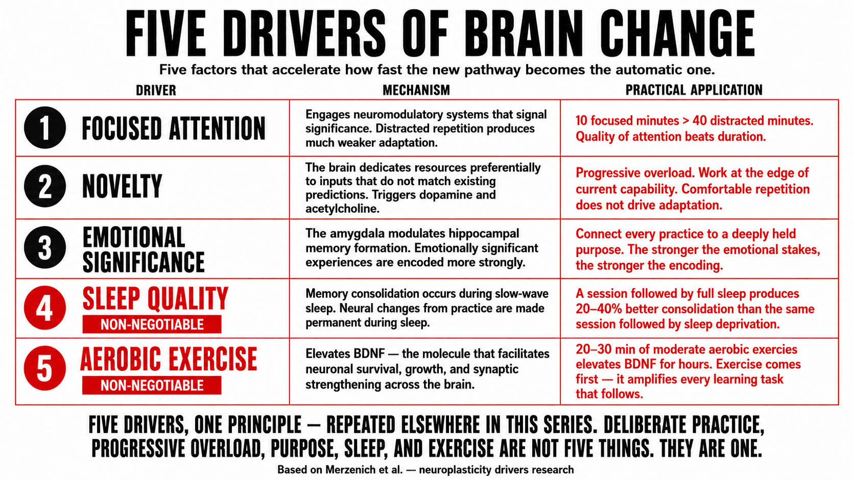 Infographic showing the five key drivers of neuroplasticity: focused attention, novelty, emotional significance, sleep quality, and aerobic exercise