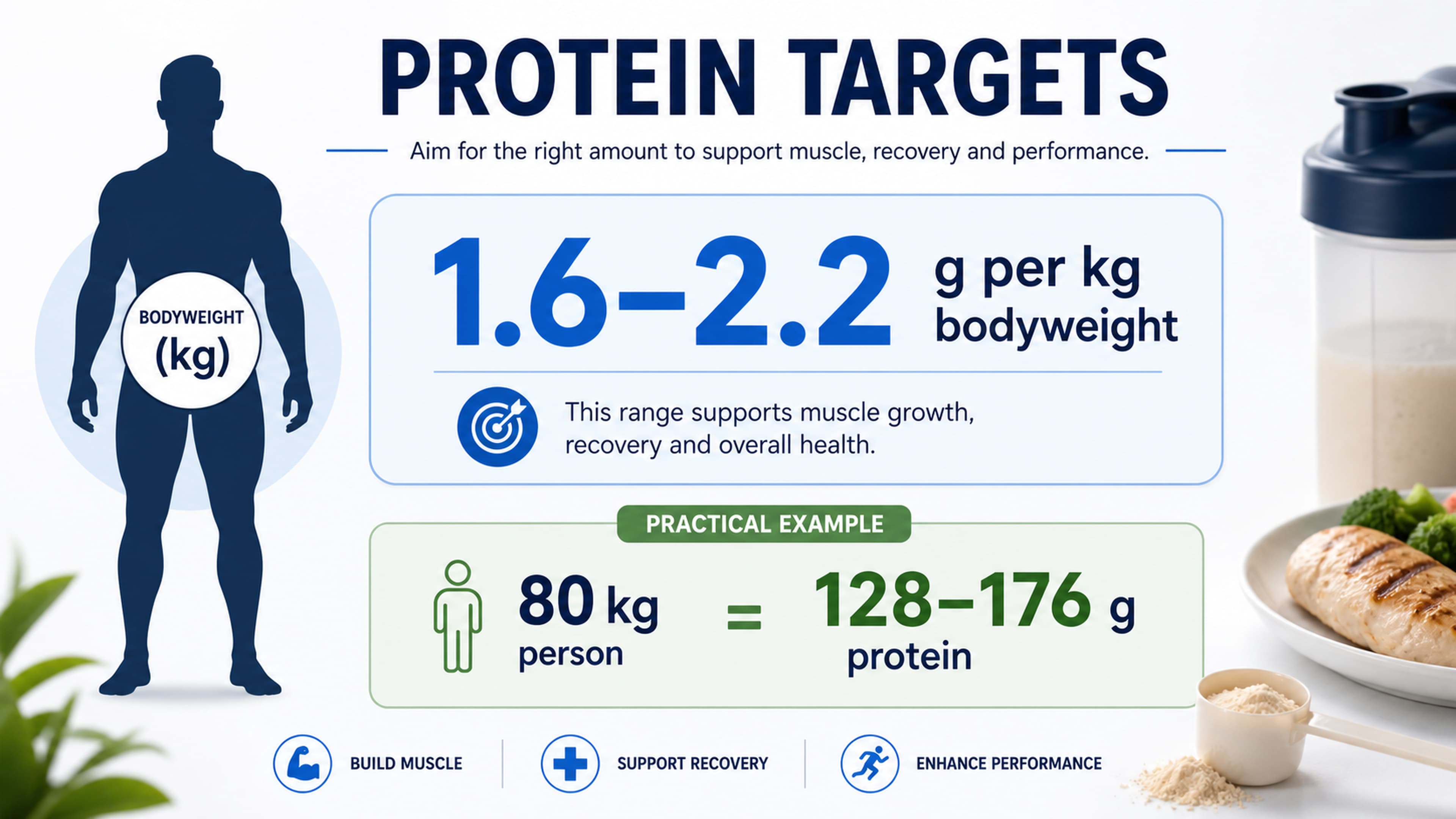 A well-portioned plate demonstrating 20 to 40 grams of protein per meal — the threshold that maximises muscle protein synthesis when spread across three to five meals a day