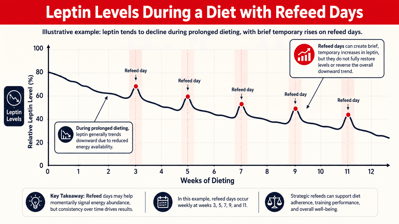 Diagram showing leptin levels declining over weeks of dieting with temporary spikes during refeed days