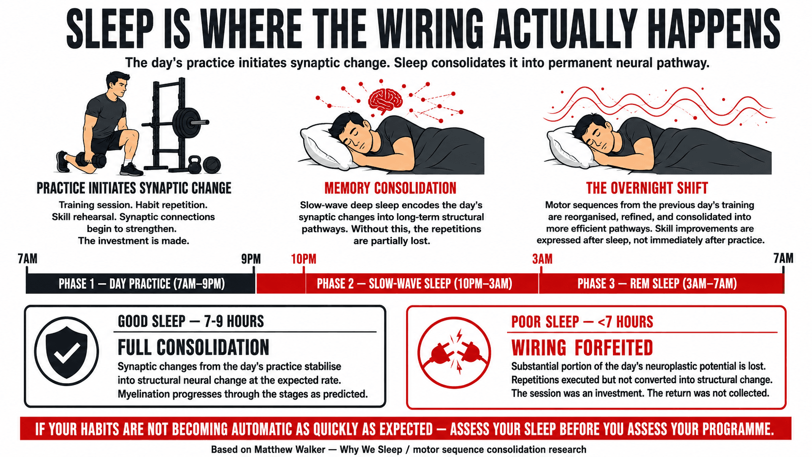 An illustration of the sleep-neuroplasticity relationship — how slow-wave and REM sleep consolidate the day's practice into durable structural changes in the brain