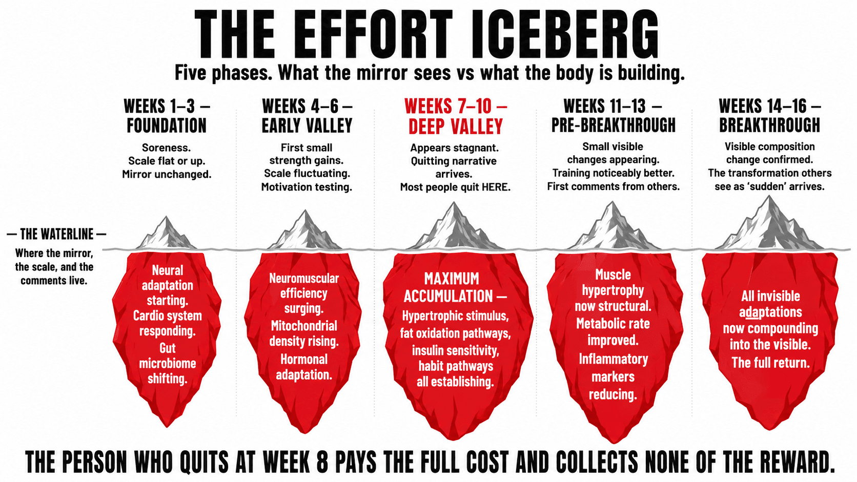 The effort iceberg — a visual showing what is accumulating below the waterline during each phase of a programme, from weeks one through sixteen, contrasting the minimal visible change above with the massive invisible adaptation below