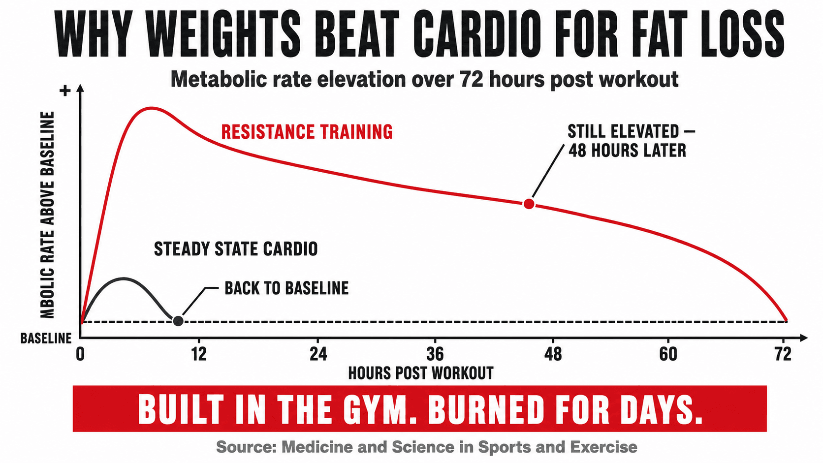 Infographic titled Why Weights Beat Cardio For Fat Loss — Metabolic Rate Elevation Over 72 Hours Post Workout, a line graph plotting metabolic rate above baseline where resistance training spikes hard, stays elevated 48 hours later and only returns to baseline near hour 72, while steady state cardio falls back to baseline within roughly 12 hours — bottom banner reading Built In The Gym, Burned For Days, sourced from Medicine and Science in Sports and Exercise